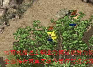 ����˽����ʿְҵΪ�α����Ϊ���裿ȫ���������ʵս����λ�뼼�ɹ���