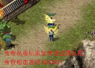����˽��������ͨ���Ŷ�������ɻ����ռ�BOSS��
