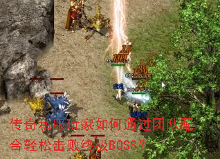 ����˽��������ͨ���Ŷ�������ɻ����ռ�BOSS��