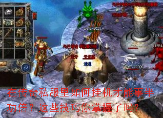 �ڴ���˽������ιһ������°빦������Щ��������������