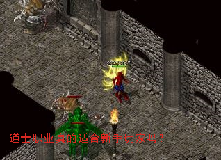 ��ʿְҵ����ʺ����������