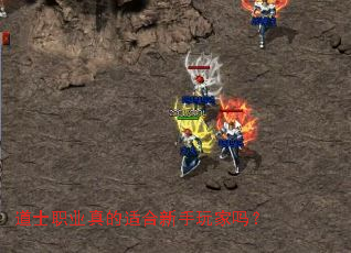 ��ʿְҵ����ʺ����������