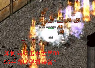 ��θ�Ч��ɱ����BOSS��Ӯȡϡ��װ����