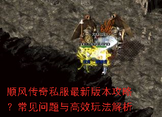 ˳�紫��˽�����°汾���ԣ������������Ч�淨����