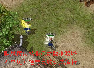 ˳�紫��˽�����°汾���ԣ������������Ч�淨����