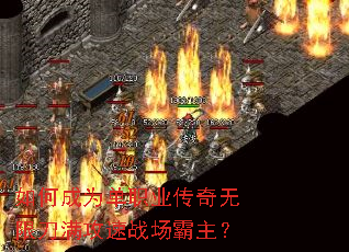 ��γ�Ϊ��ְҵ�������޵�������ս��������