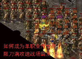��γ�Ϊ��ְҵ�������޵�������ս��������