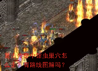 ���Ŵ�����ǯ�泲Ѩ��ô�ߣ���·��ͼ����