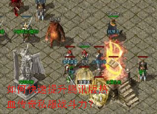 ��ο���������Ѷ����Ѫ����˽��ս������