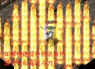 ��ο���������Ѷ����Ѫ����˽��ս������