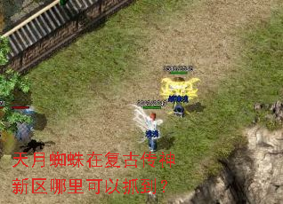����֩���ڸ��Ŵ��������������ץ����