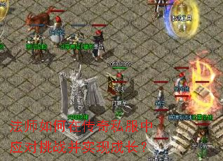 ��ʦ����ڴ���˽����Ӧ����ս��ʵ�ֳɳ���