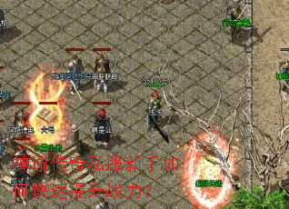 ���ʹ���˽��������ο�������ս����