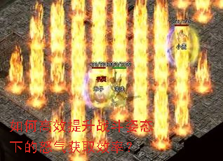 ��θ�Ч����ս����̬�µ�ŭ����ȡЧ�ʣ�