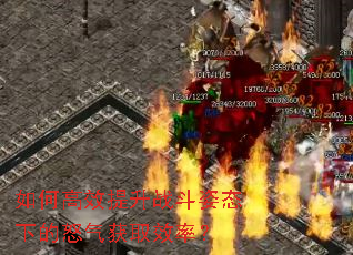 ��θ�Ч����ս����̬�µ�ŭ����ȡЧ�ʣ�