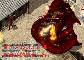 ���Ϊ35����ɫ��ѡ���ʵĴ���װ����