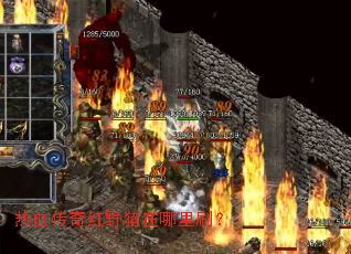 ��Ѫ�����Ұ��������ˢ��