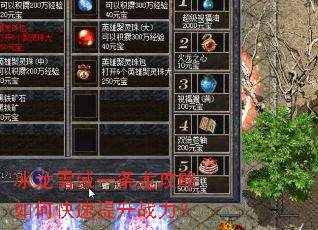 ����ѩ��һ����������ο�������ս����