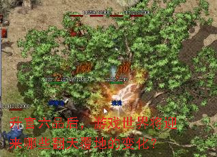 ������Ʒ����Ϸ���罫ӭ����Щ���츲�صı仯��