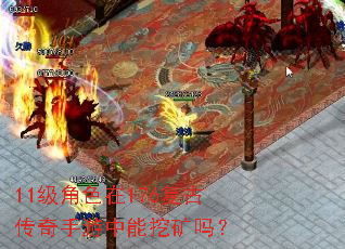 11����ɫ��176���Ŵ������������ڿ���