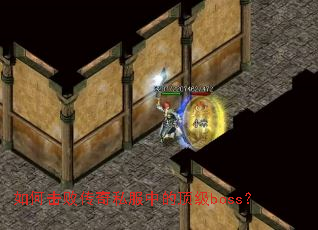 ��λ��ܴ���˽���еĶ���boss��