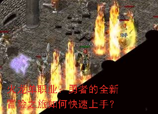 ������ְҵ�����ߵ�ȫ��ð��֮����ο������֣�