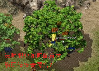 ��ʦְҵ������ò�����ת����ħ����