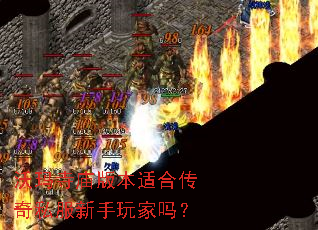 ���������汾�ʺϴ���˽�����������