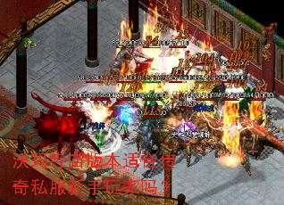 ���������汾�ʺϴ���˽�����������