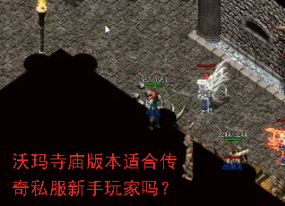 ���������汾�ʺϴ���˽�����������