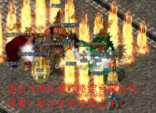 �Թ�����˽�������ۺ�ƪ���߹ۿ���������ο������֣�