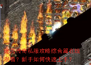 �Թ�����˽�������ۺ�ƪ���߹ۿ���������ο������֣�