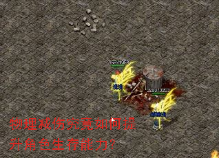 �������˾������������ɫ����������