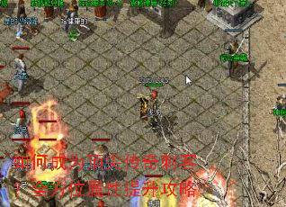 ��γ�Ϊ���⴫��̿ͣ�ȫ��λ������������