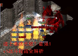 ��ʿ�����޵У���ǿ1v1ս���ؼ�ȫ����