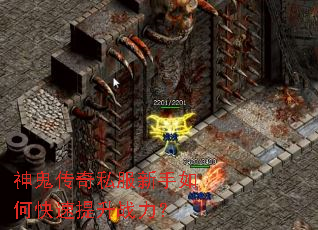 �������˽��������ο�������ս����