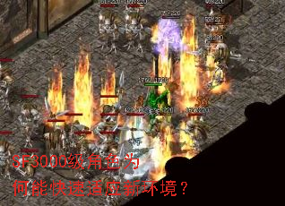 SF3000����ɫΪ���ܿ�����Ӧ�»�����