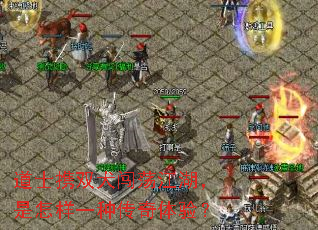 ��ʿЯ˫Ȯ����������������һ�ִ������飿