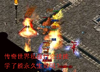 ��������˽���лἼ��ѧ����������Ч��