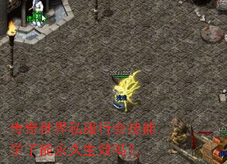 ��������˽���лἼ��ѧ����������Ч��