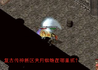 ���Ŵ�����������֩��������ץ��