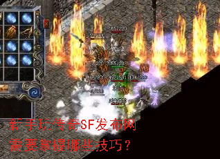 �����洫��SF��������Ҫ������Щ���ɣ�