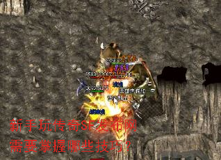 �����洫��SF��������Ҫ������Щ���ɣ�