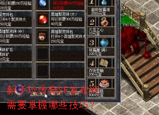 �����洫��SF��������Ҫ������Щ���ɣ�
