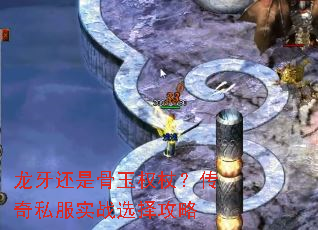 �������ǹ���Ȩ�ȣ�����˽��ʵսѡ����