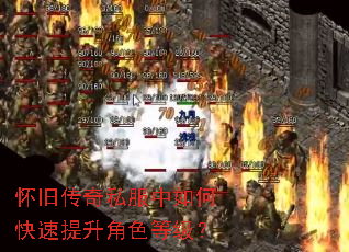 ���ɴ���˽������ο���������ɫ�ȼ���