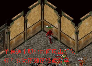 ������ʿְҵ�������»�����Ů��Ҷ��Ҿ������