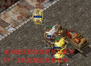 ������ʿְҵ�������»�����Ů��Ҷ��Ҿ������