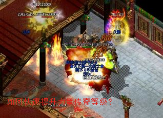 ��ο���������������ȼ���