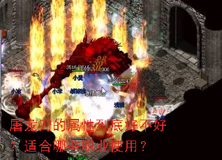 �����������Ե��׺ò��ã��ʺ���Щְҵʹ�ã�